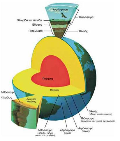 Το φυσικό φαινόμενο ο σεισμός, έχει σχέση με τη Δομή της ΓΗΣ ΦΛΟΙΟΣ Ηπειρωτικός φλοιός : Είναι ένα λεπτό και σκληρό στρώμα που «επιπλέει» πάνω στον μανδύα.