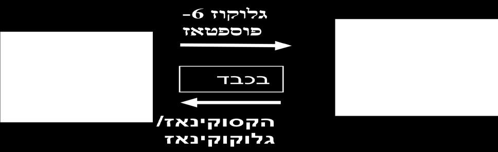 דגרגציה (פירוק) גליקוגן: פירוקו של הגליקוגן מתרחש בריאקציה של פוספורילציה, כלומר, ביקוע הקשר ע"י יון פוספט.
