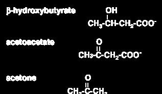 גופים קטונים - Bodies Ketone גופים קטונים מיוצרים מעודף של Acetyl Co-A בכבד. הכבד מהווה בית החורשת המטובלי העיקרי בגוף.
