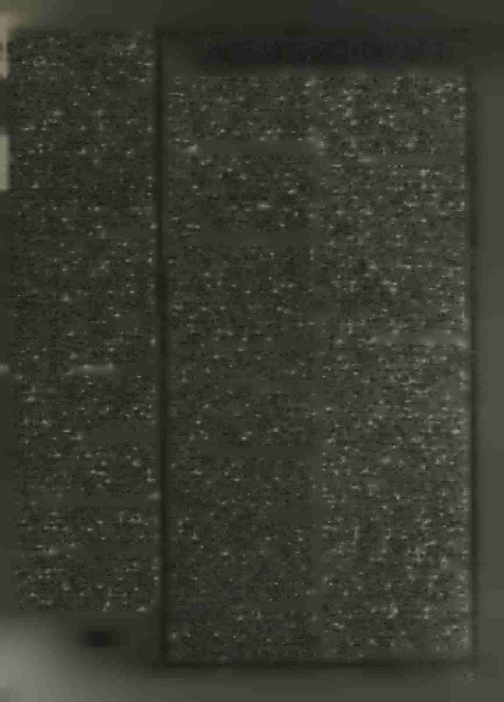 Ώρισμέναι προηγούμενοι καταδίκαι καί ώρισμέναι προηγούμενοι πράξεις δέον, δπως, κατά τήν έφαρμογήν τού Νόμου (Γερμ. Πν. Κ.