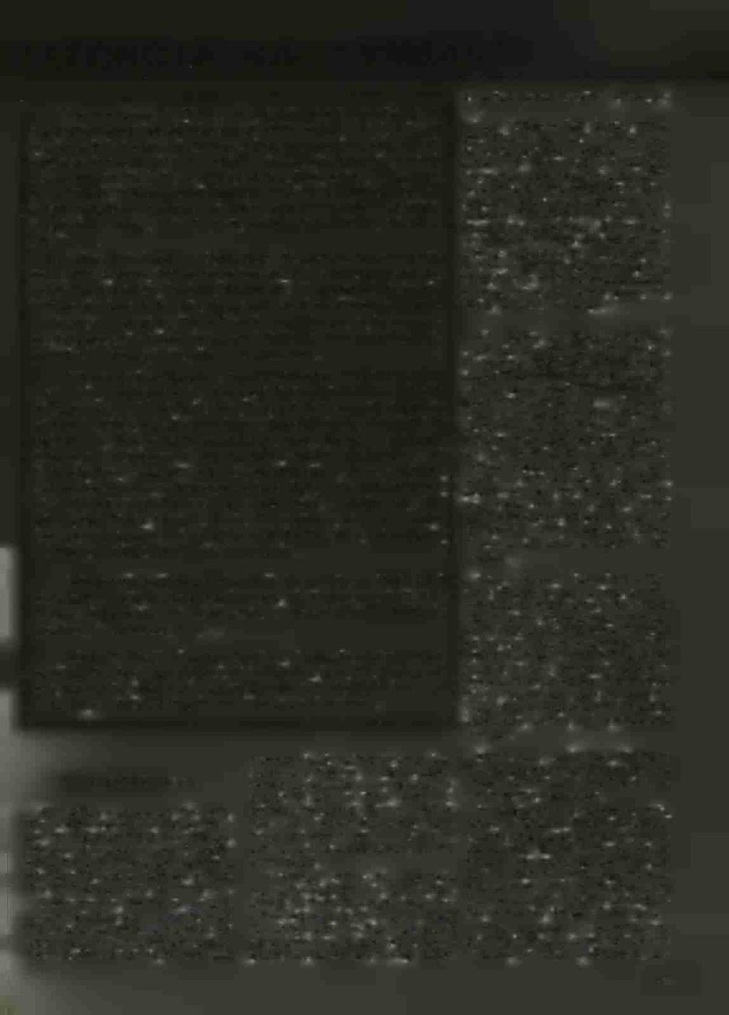 Σ αύτή την περίοδο τών μαζικών διακοπών, πού τό κέντρο βάρους τής ζωής μετατοπίζεται στις άκτές καί τις δασωμένες βουνοπλαγιές, ή Χωροφυλακή δραστηριοποιείται περισσότερο έντονα για νό εξασφαλίσει τή