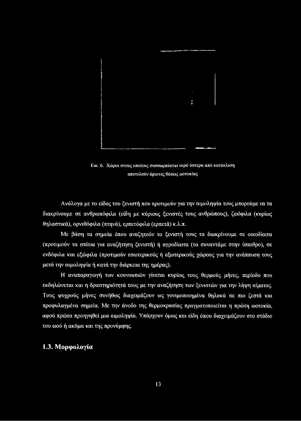 Εικ. 6.
