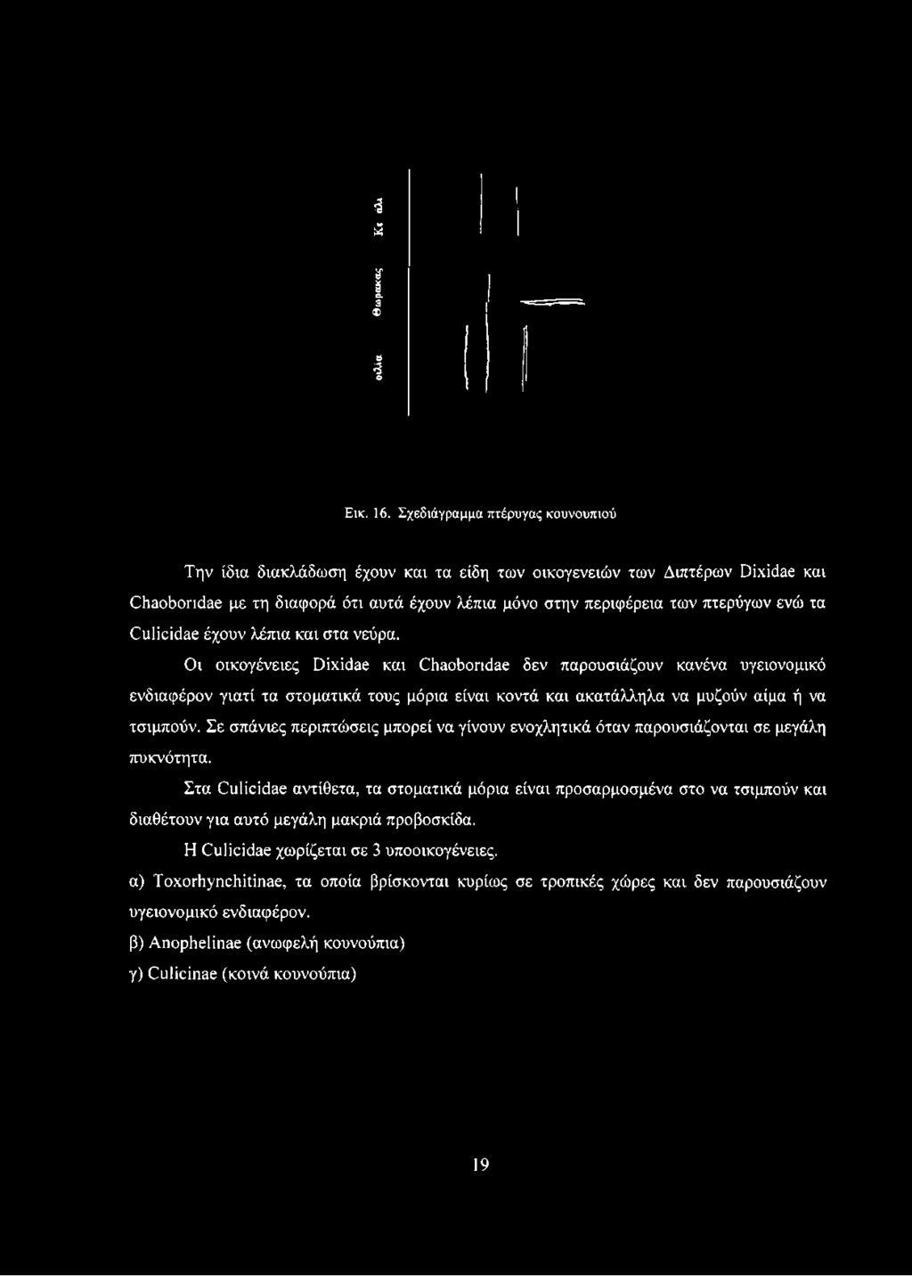 3 ω Μ 3 ο. 3 ΰ ο Εικ. 16.