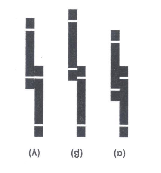 Blume Leiss Για να καθορίσουμε την απόσταση χρησιμοποιούμε στόχο, ο οποίος έχει καθορισμένες θέσεις πέντε λευκές λωρίδες με τις ενδείξεις 0, 15, 20, 30 και 40 που αντιστοιχούν σε αποστάσεις.