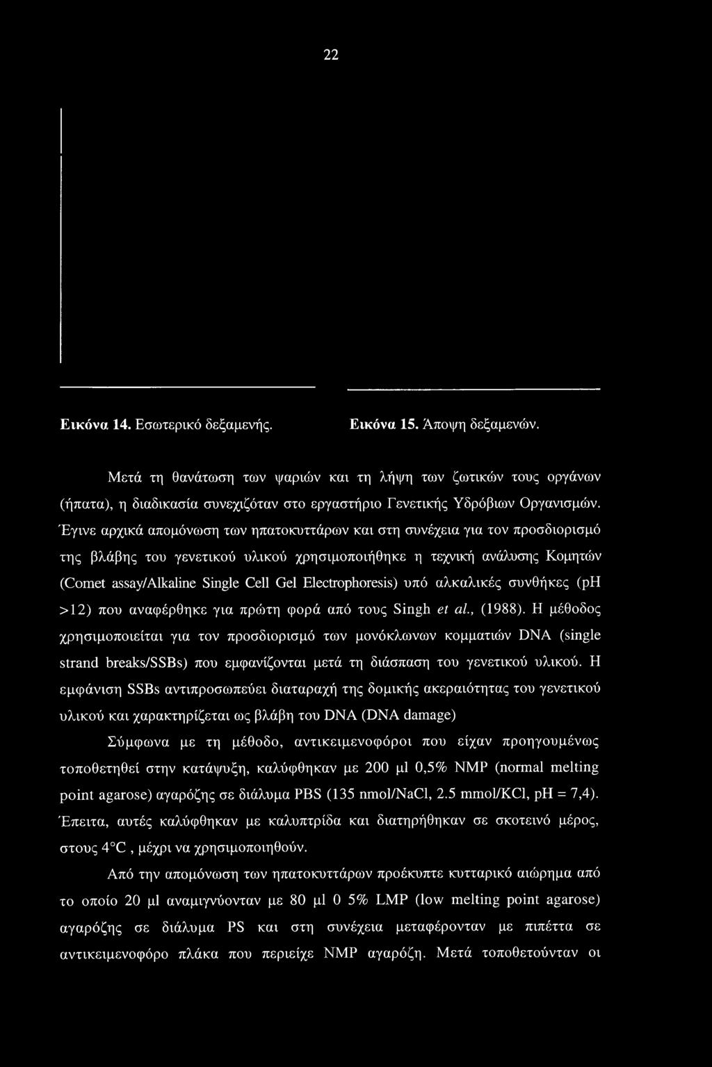 Έγινε αρχικά απομόνωση των ηπατοκυττάρων και στη συνέχεια για τον προσδιορισμό της βλάβης του γενετικού υλικού χρησιμοποιήθηκε η τεχνική ανάλυσης Κομητών (Comet assay/alkaline Single Cell Gel