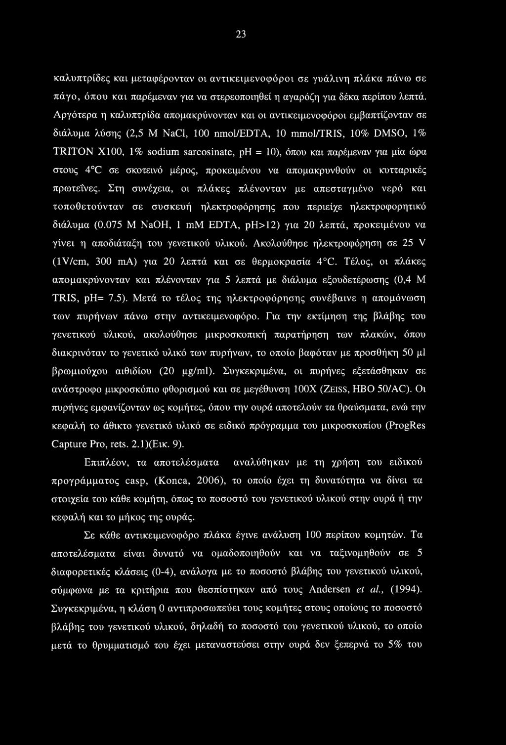 23 καλυπτρίδες και μεταφέρονταν οι αντικειμενοφόροι σε γυάλινη πλάκα πάνω σε πάγο, όπου και παρέμεναν για να στερεοποιηθεί η αγαρόζη για δέκα περίπου λεπτά.