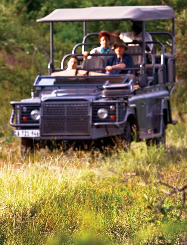 Safari ranger, Deirdre, behind the wheel of the jeep on a lion s