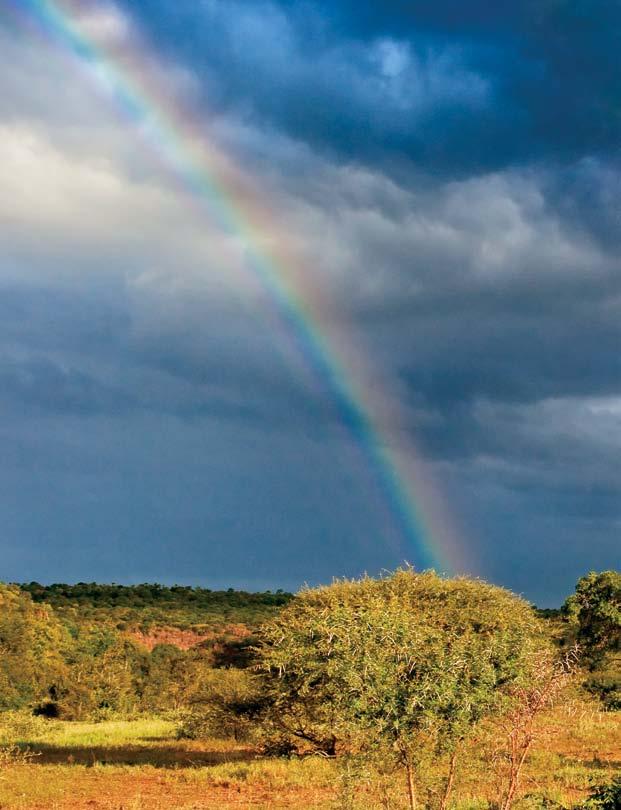 112 Από την μπανιέρα του Singita Lebombo Lodge χαζεύω τις