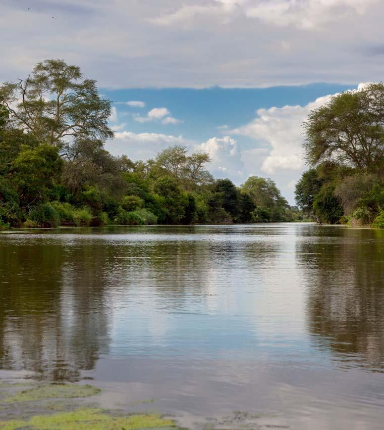One of the many waterholes at Kruger National Park On the right page from