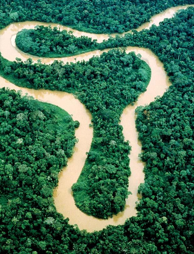 Αmazon LATIN AMERICA The undisputed favourite for a place in the top seven, the Amazon Basin has numbers on its side. It covers 7 million square kilometres in total, of which 5.