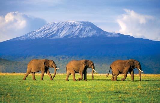 7 ΤΗΕ ΝEW WONDERS OF NATURE 12 Kilimanjaro TANZANIA The two German missionaries who discovered Kilimanjaro in 1848 were met with disbelief by fellow Europeans when they returned with stories about a