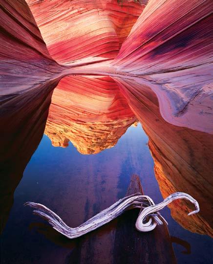 Paria Canyon-Vermilion Cliffs Wilderness, Arizona Jack Dykinga dykinga.