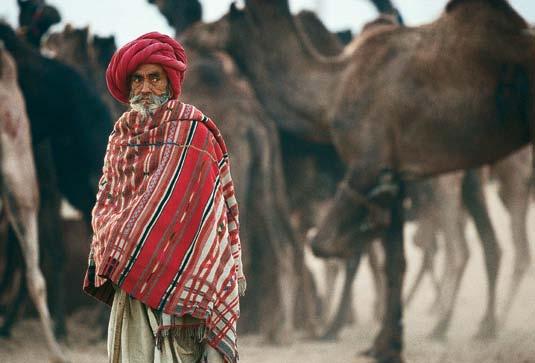 Oct-Dec 10 Latitudes Travel events THINGS YOU MUST DO BEFORE YOU DIE ΕΜΠΕΙΡΙΕΣ ΖΩΗΣ laif/www.iml.gr Pushkar camel fair India A Bollywood extravaganza starring 50,000 camels in the heart of India.