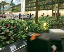 Sleep the weary hours away in comfortable snooze chairs and napping areas, invigorate body and soul with exclusive spa services or take a dip in the Balinese-themed swimming pool and jacuzzi at the