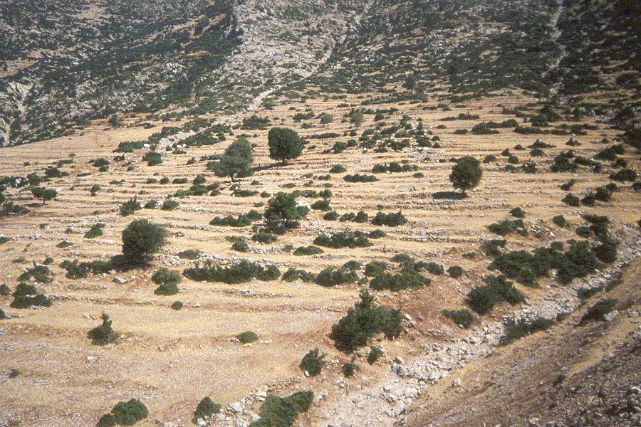 ΕΓΚΑΤΑΛΕΙΜΜΕΝΟΙ ΑΓΡΟΙ Ένα φαινόμενο συνηθισμένο στην ορεινή Ελλάδα είναι η ύπαρξη πολλών εγκαταλειμμένων αγρών οι οποίοι βόσκονται.