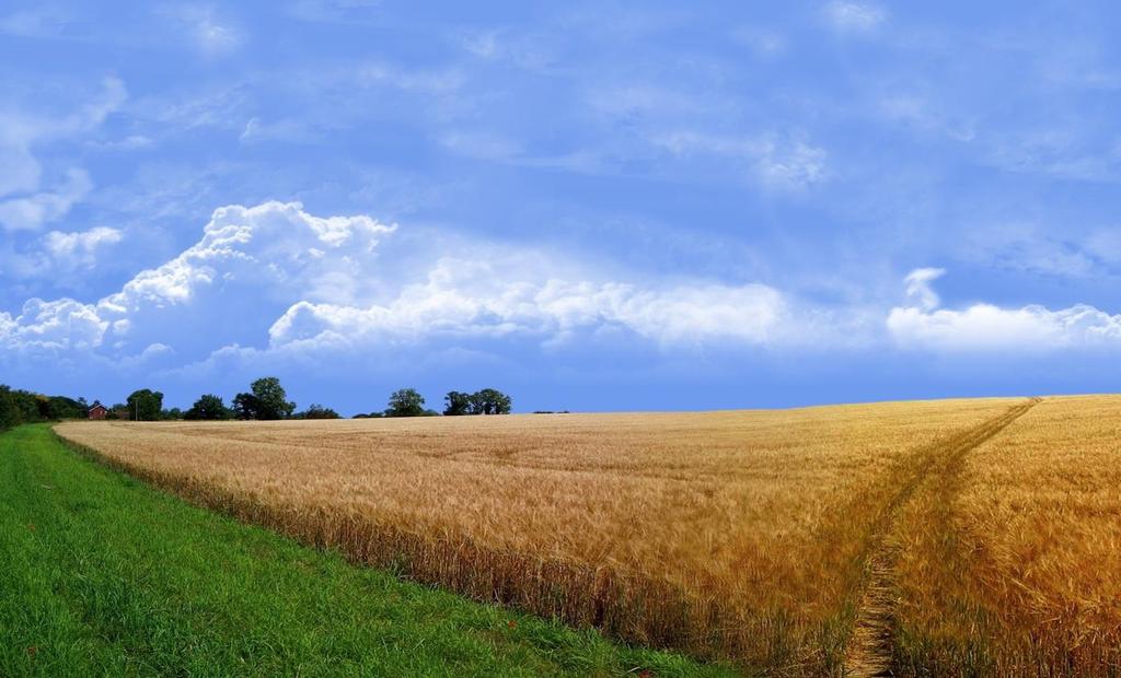 Αυτό δείχνει ότι η κτηνοτροφία πρέπει να είναι στενά