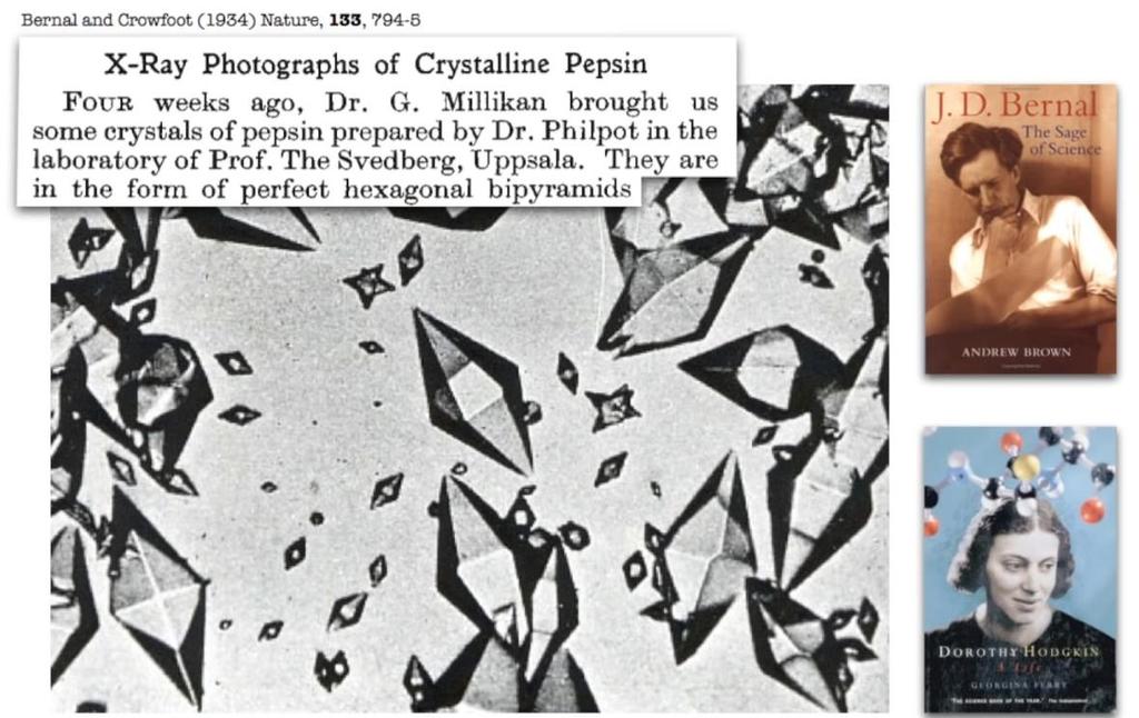 Κρύσταλλοι πεψίνης (1934)