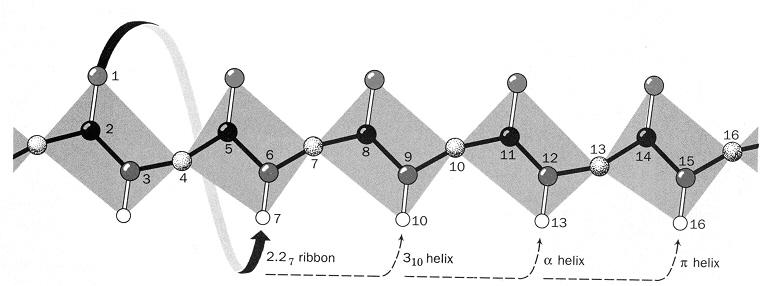 Alte structuri helicale posibile sunt: 2,2 7, 3 10 şi 4,4 16. Helixul 2,2 7 numit şi panglică (ribbon) nu a fost observat în natură niciodată.
