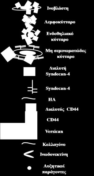 PGs syndecan-4 και CD44 ςυςχετύζονται με τισ κλινικοπαθολογικϋσ παραμϋτρουσ που καθορύζουν το μεταςτατικϐ δυναμικϐ των ϐγκων ϐρχεων εκ