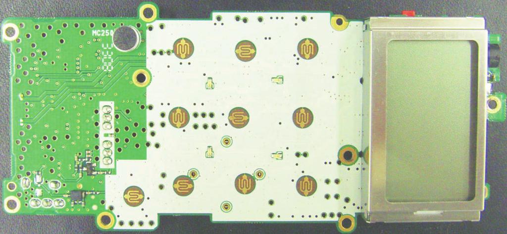 SECTION.