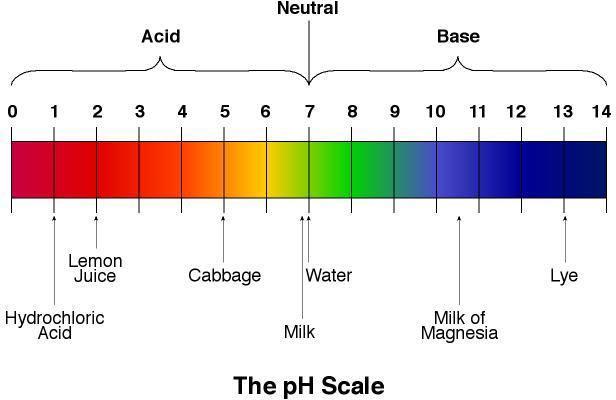 ph o Οι περισσότεροι μικροοργανισμοί αναπτύσσονται σε ph 6-9.