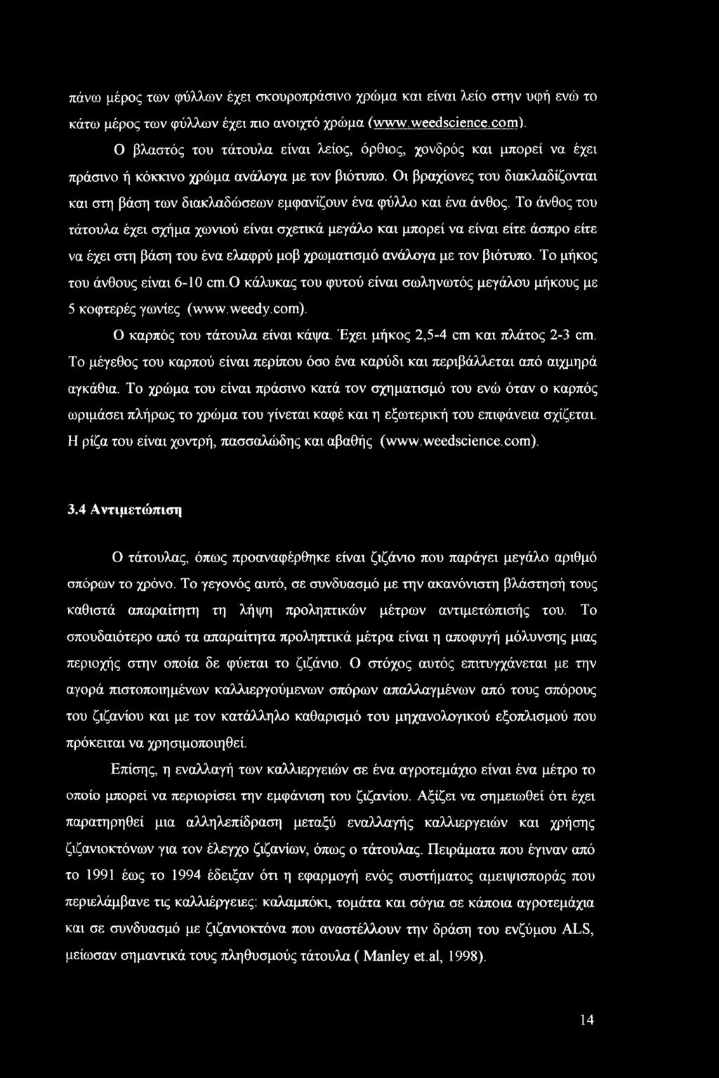 Οι βραχίονες του διακλαδίζονται και στη βάση των διακλαδώσεων εμφανίζουν ένα φύλλο και ένα άνθος.