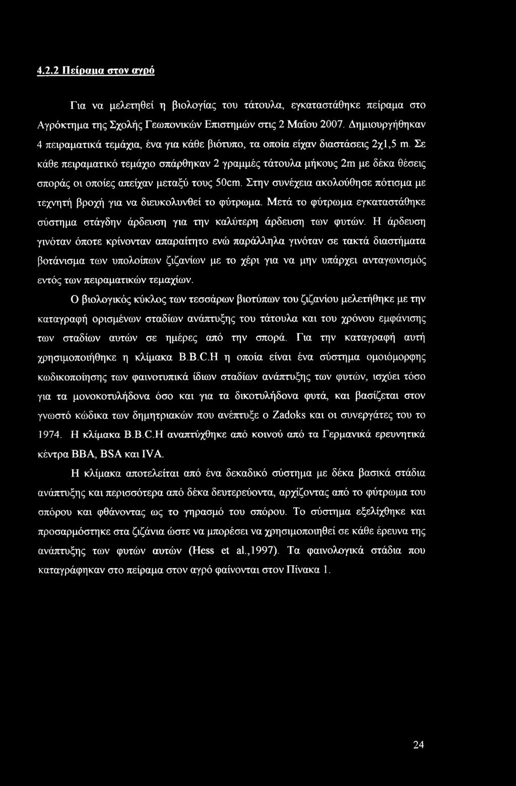 Σε κάθε πειραματικό τεμάχιο σπάρθηκαν 2 γραμμές τάτουλα μήκους 2m με δέκα θέσεις σποράς οι οποίες απείχαν μεταξύ τους 50cm.
