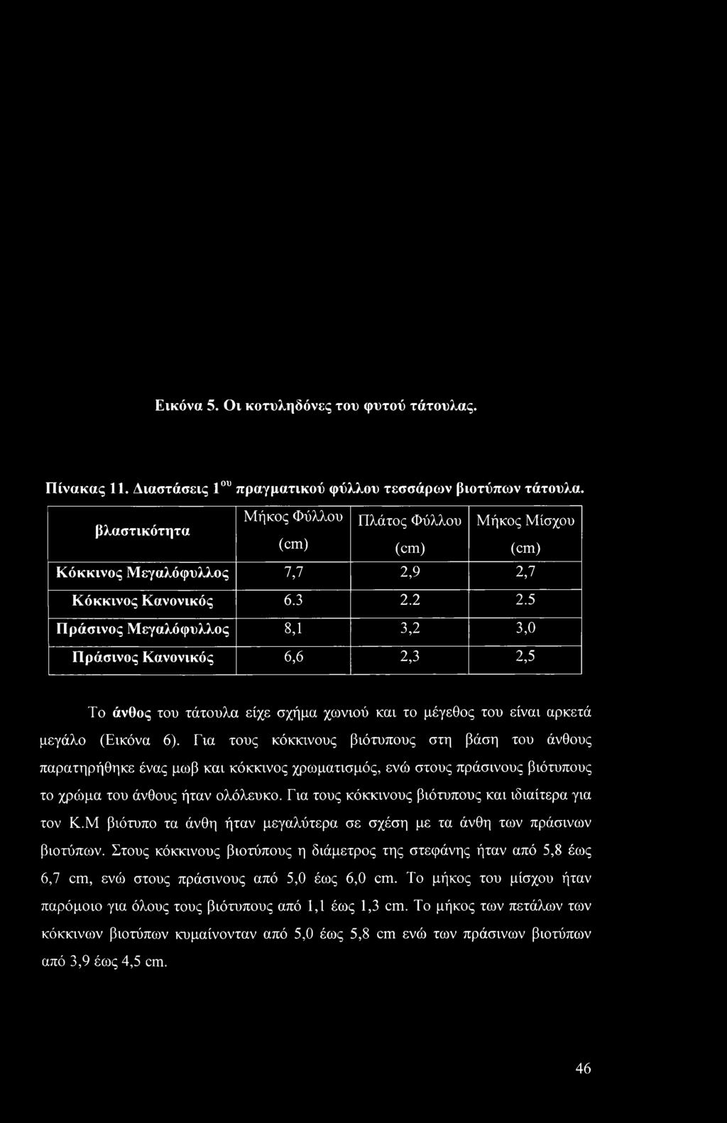 5 Πράσινος Μεγαλόφυλλος 8,1 3,2 3,0 Πράσινος Κανονικός 6,6 2,3 2,5 Το άνθος του τάτουλα είχε σχήμα χωνιού και το μέγεθος του είναι αρκετά μεγάλο (Εικόνα 6).