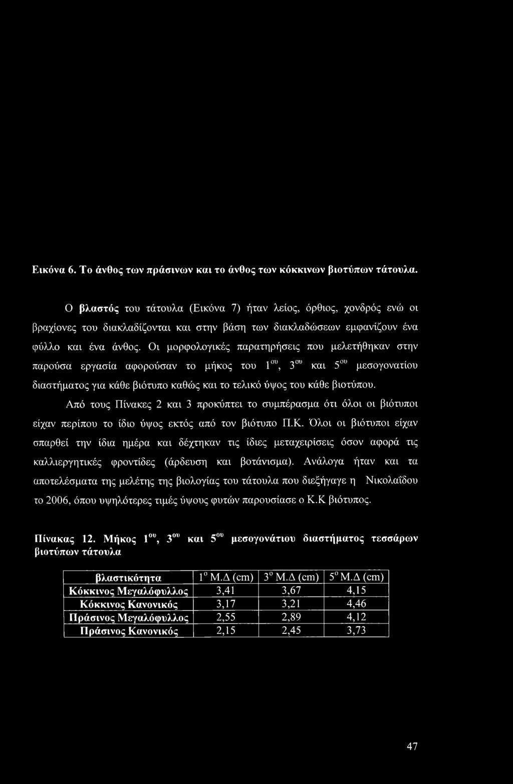 Οι μορφολογικές παρατηρήσεις που μελετήθηκαν στην παρούσα εργασία αφορούσαν το μήκος του 1ου, 3ου και 5ου μεσογονατίου διαστήματος για κάθε βιότυπο καθώς και το τελικό ύψος του κάθε βιοτύπου.
