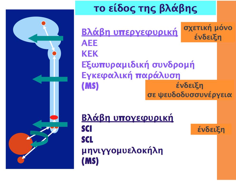 ΔΙΑΛΕΙΠΟΝΤΕΣ