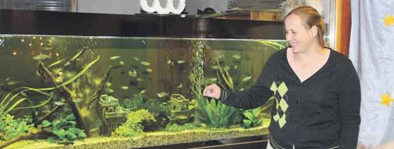 Kuulutaja reede, 9. detsember 2016 TASUB TEADA 11 Eha Laasile meeldivad akvaariumiasukatest kõige rohkem põhjakoristajad.