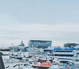 Ólíkt því sem margir telja telst hrafninn ekki til ættar ránfugla, hann er spörfugl eins og þrösturinn, maríuerlan og þúfutittlingurinn.