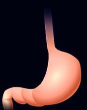 Tract Insulin Secretion