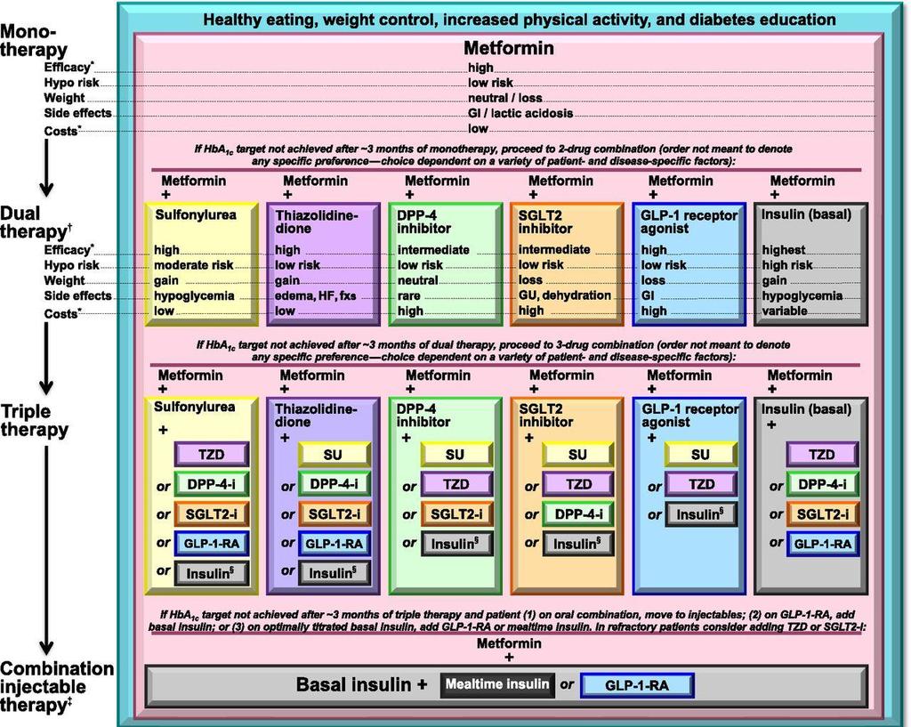 Antihyperglycemic therapy in type 2 diabetes: general recommendations. Silvio E.