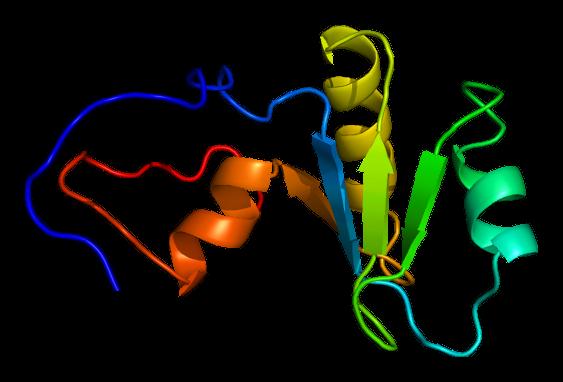 mrna