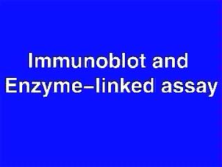 Molecular Cell