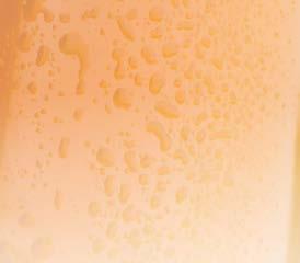 Στιλ: Hefeweizen Χρώμα: Θολή ξανθιά Αλκοόλ: 5,5% Γεύση: Φρουτώδης με έντονο άρωμα λυκίσκου και πυκνό αφρό 1,35 VOREIA witt weiss Στιλ:Weiss Χρώμα: Ξανθό Αλκοόλ: 7% Γεύση: Γεύση απαλή με φρουτώδη