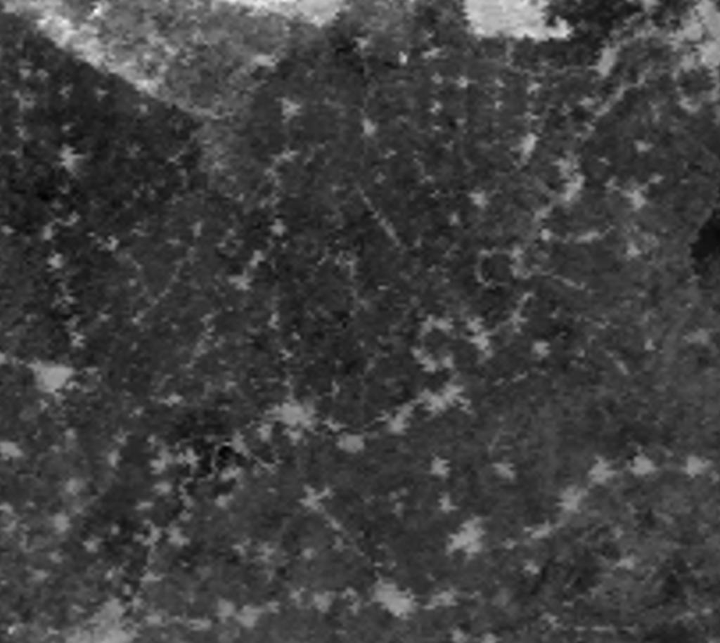 (a) (b) Εικόνα 5.3.1: Αρχικές εικόνες που συμμετέχουν στο μοντέλο παλινδρόμησης, της υποπεριοχής 1, οι Sentinel 2 (a) και MODIS (b), στο κόκκινο κανάλι.