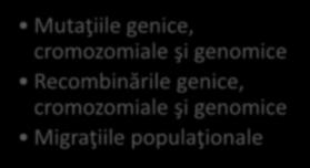 VARIABILITATEA Sursele variabilităţii Mutaţiile genice şi consecinţele lor Variabilitatea proprietatea organismelor vii de a prezenta diferenţe interpopulaţionale, intrapopulaţionale sau
