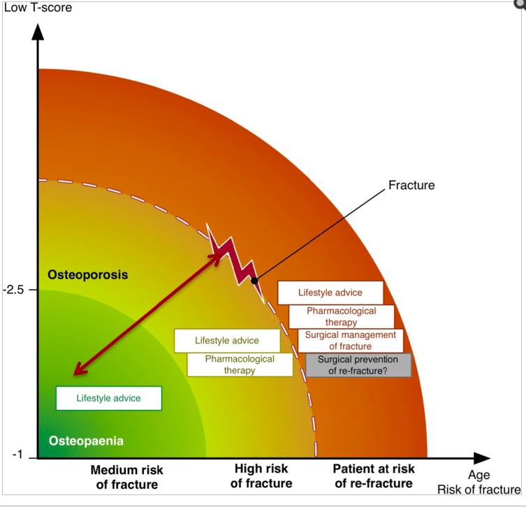 Levels of fracture risk in osteoporosis and their