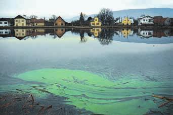 Vodne raztopine so v nas in okoli nas 7. 1 Slika 2 Pove~ana rast alg v ribniku in ogljikovega dioksida. Vse na{tete raztopljene snovi `ivim organizmom ne {kodujejo.