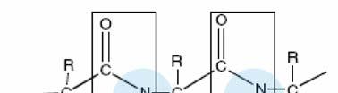 Lowry metoda Lowry metoda se temelji na reakciji (a) bakrenih iona vezanih na amino skupine peptidne veze i (b) fenolne skupine bočnog ogranka aminokiseline Tyr u proteinu sa Folin-Ciocalteau