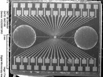 ro) - 2 microrezervoare, cu volumul de 1 nl fiecare - 23 microelectrozi metalici de 2 µm latime - microcanale de 5 si 1 µm latime si 5 µm adancime