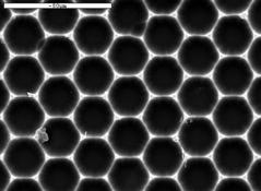 Principalele caracteristici 2µm 4µm Topografia unei retele hexagonale de alveole Elemente de noutate; 2µm Persoana de contact: Dr. Elena Manea (e-mail: elenam@imt.