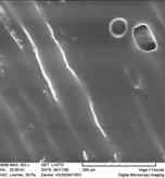 Lacurile hidrodiluabile depuse pe diferite substraturi composite lingo-celulozice determina o imbunatatire a rezistentei la zgariere/duritatii si antistaticitatii.