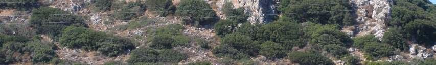 ) ιδρύθηκε το 2008 και λειτουργεί στο πλαίσιο του καταστατικού του Κέντρου Μελέτης του Ορθόδοξου