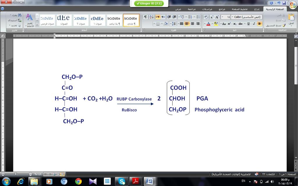 .1 المسلك الثليثي الكاربون )خدلورة كالفن (Calvin cycle خلل هذه الدورة يدخل غاز CO2 عن طريق الثغور حيث يتحد مع مركب خماسي الك اربون ه و ثن ائي فوسععععفات الرايبلععععوز ) Ribulose-1,5-bisphosphate