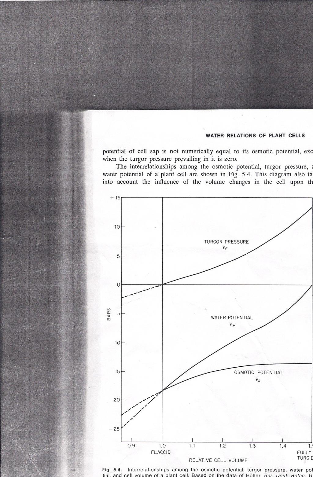 شكل ) (11 مخطط هوفلر Hofler Diagram الفصل الساخدس امتصاص الماء water absorption المعاء يمتعص بواسعطة الجعذور معن التربعة بصعورة رئيسععية فعي منطق ة الشععيرات الجذريعة.