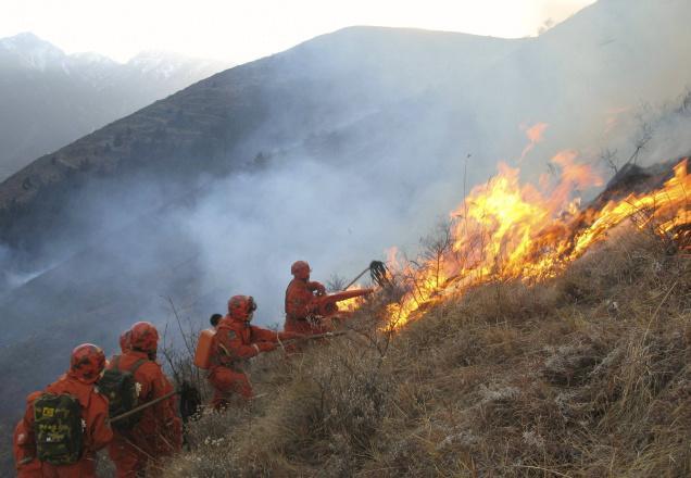 Αν και η καμένη λιβαδική βλάστηση επανέρχεται μετά την πυρκαγιά με την διαδικασία της δευτερογενούς