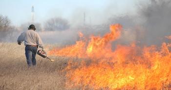Το 10% των πυρκαγιών στα λιβάδια προκαλείται από τους ίδιους τους κτηνοτρόφους, οι οποίοι προσπαθούν να καταστρέψουν τα ανεπιθύμητα λιβαδικά φυτά και να